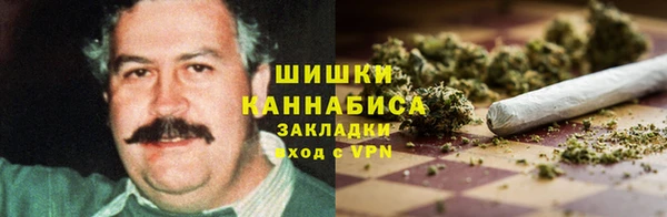 прущие крисы Медвежьегорск