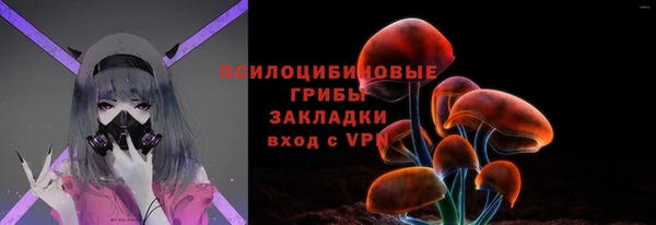 прущие крисы Медвежьегорск