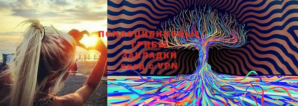 бошки Мегион
