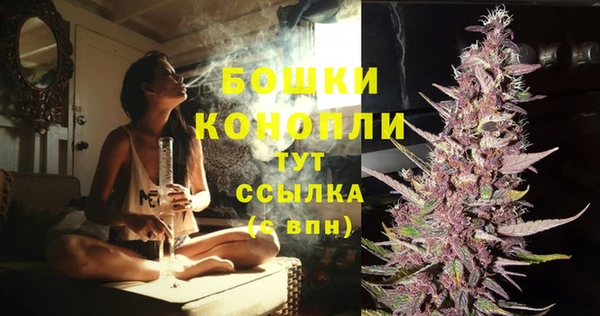 гидра Медногорск