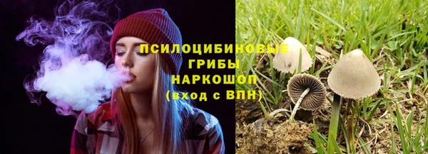 прущие крисы Медвежьегорск