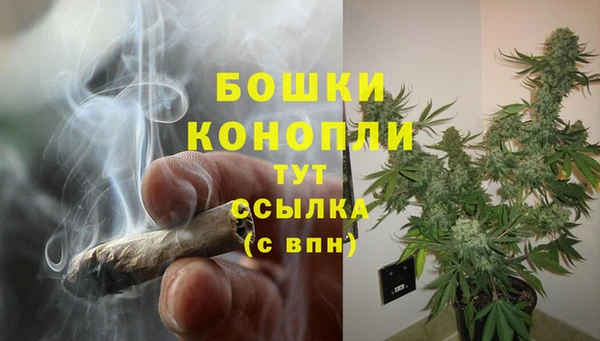 гидра Медногорск